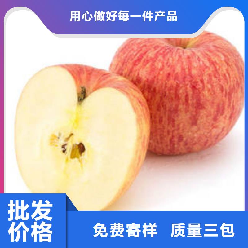 紅富士蘋果蘋果種植基地廠家直發按需定制