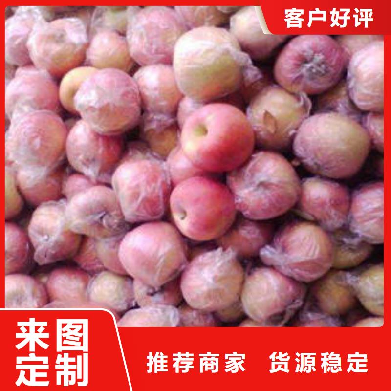 紅富士蘋果-蘋果種植基地48小時發(fā)貨當(dāng)?shù)毓?yīng)商