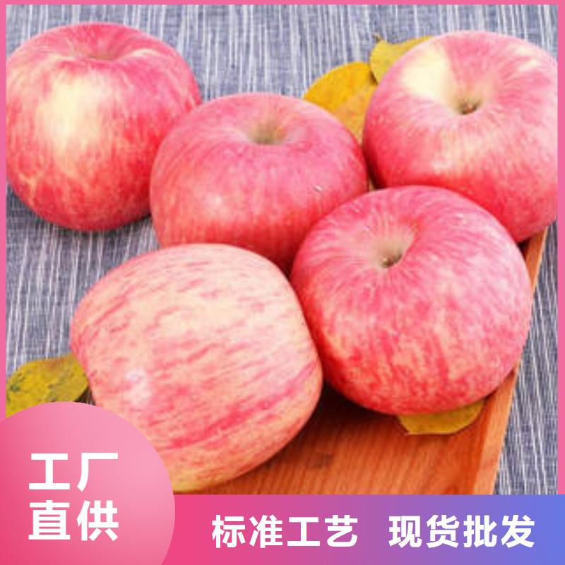 紅富士蘋果誠信廠家廠家自營