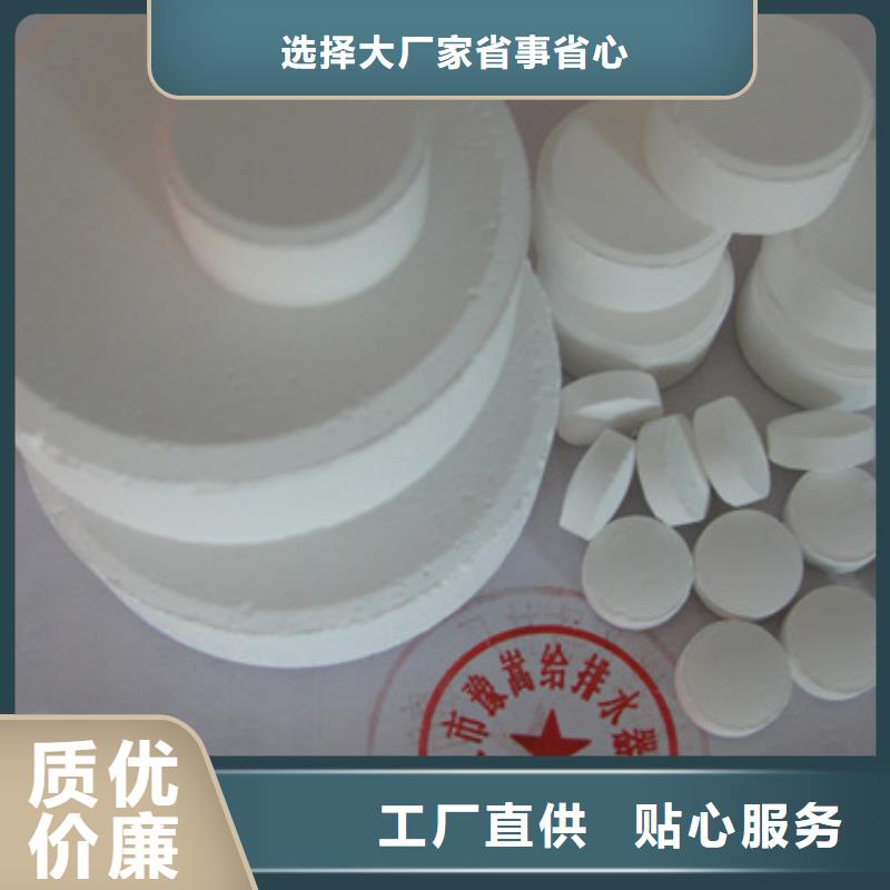 殺菌滅藻劑泡沫濾珠細節嚴格凸顯品質本地生產商