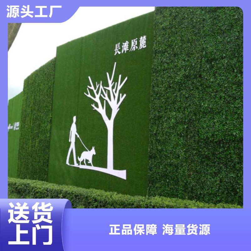 圍擋草坪,人造草坪圍擋實(shí)力才是硬道理從廠家買售后有保障