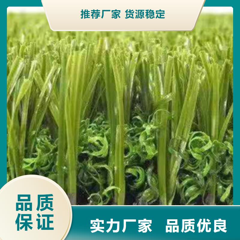 /FL9334275.html