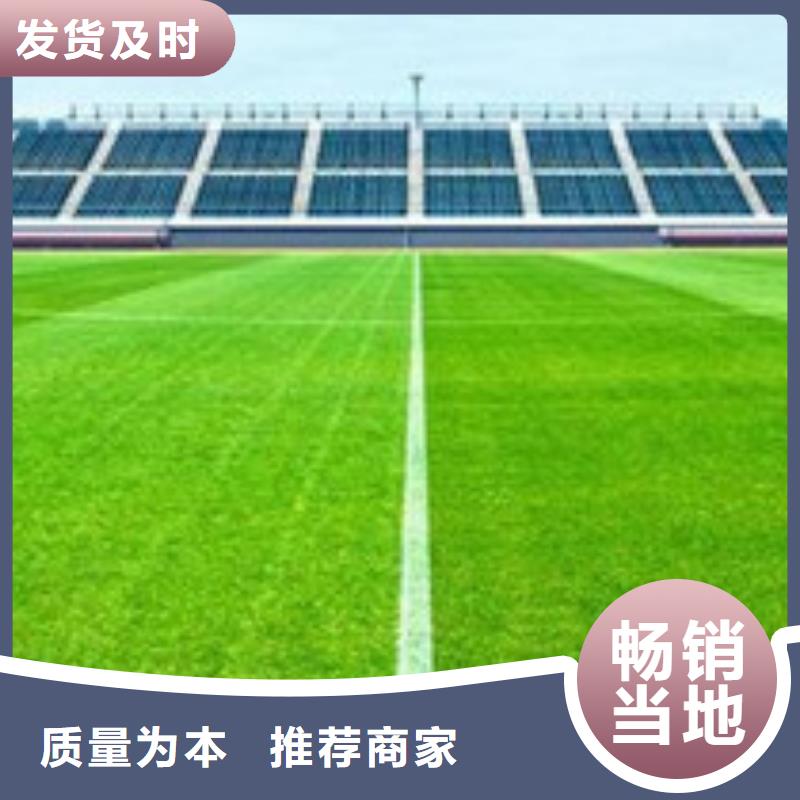 ?人造草坪_【防靜電地板】品質有保障放心得選擇