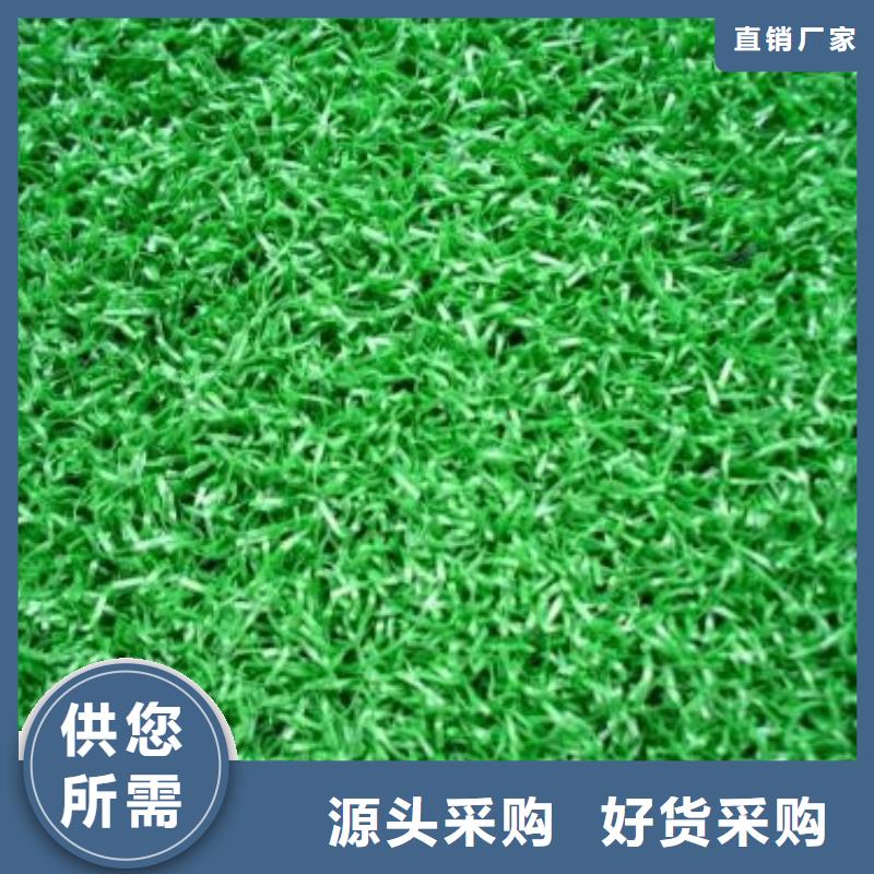 人造草坪塑膠跑道源頭廠家經驗豐富交貨準時
