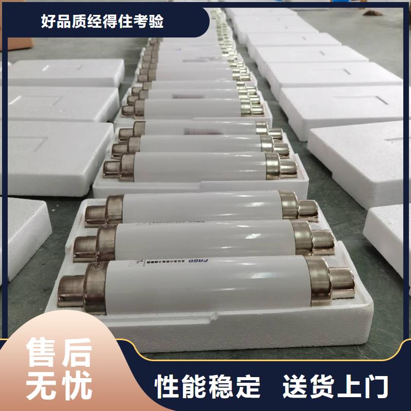 高壓熔斷器FKN12-12/630A專業(yè)生產(chǎn)制造廠無中間商廠家直銷