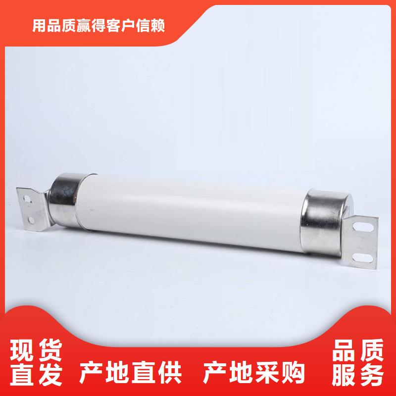 【高压熔断器光伏并网柜拒绝伪劣产品】产品细节