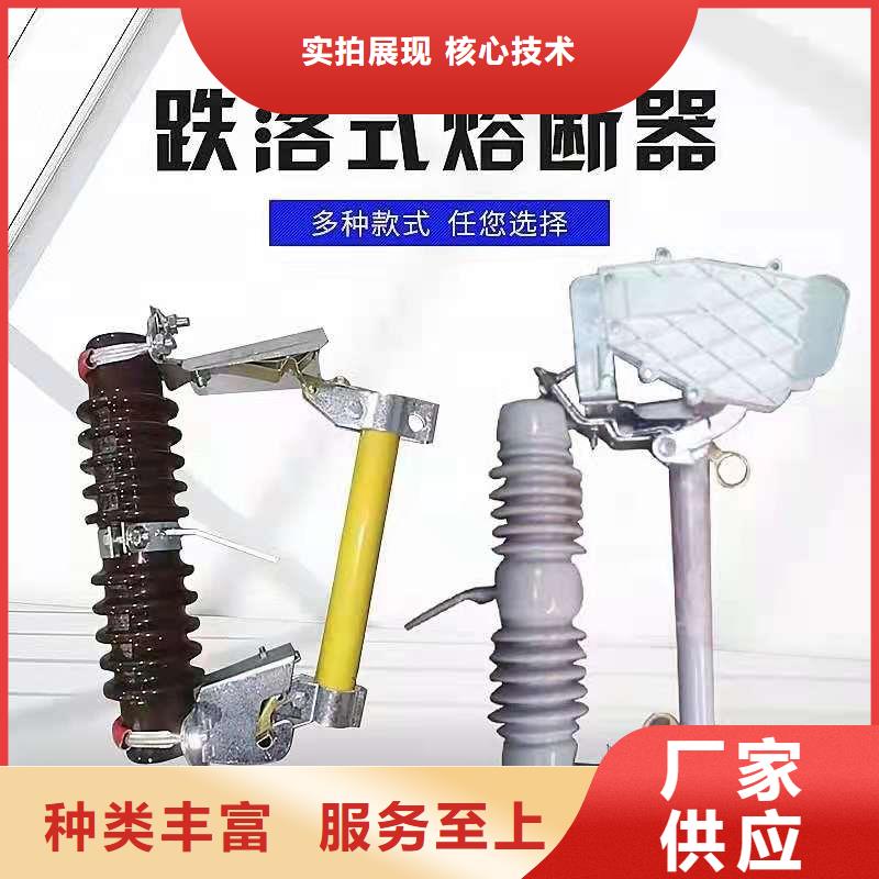 【跌落式熔断器高压氧化锌避雷器订制批发】实体厂家