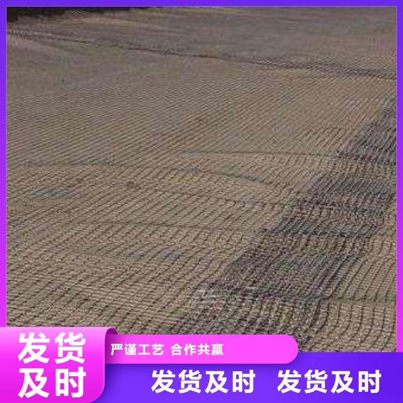 【玻纤土工格栅土工布实体厂家支持定制】当地供应商