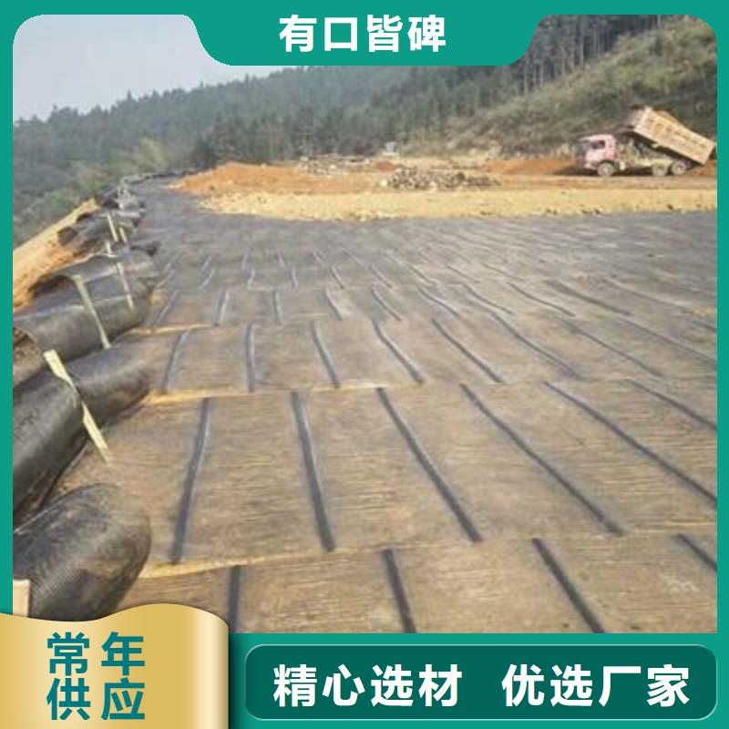 單向塑料土工格柵土工格室廠家供應(yīng)本地生產(chǎn)廠家