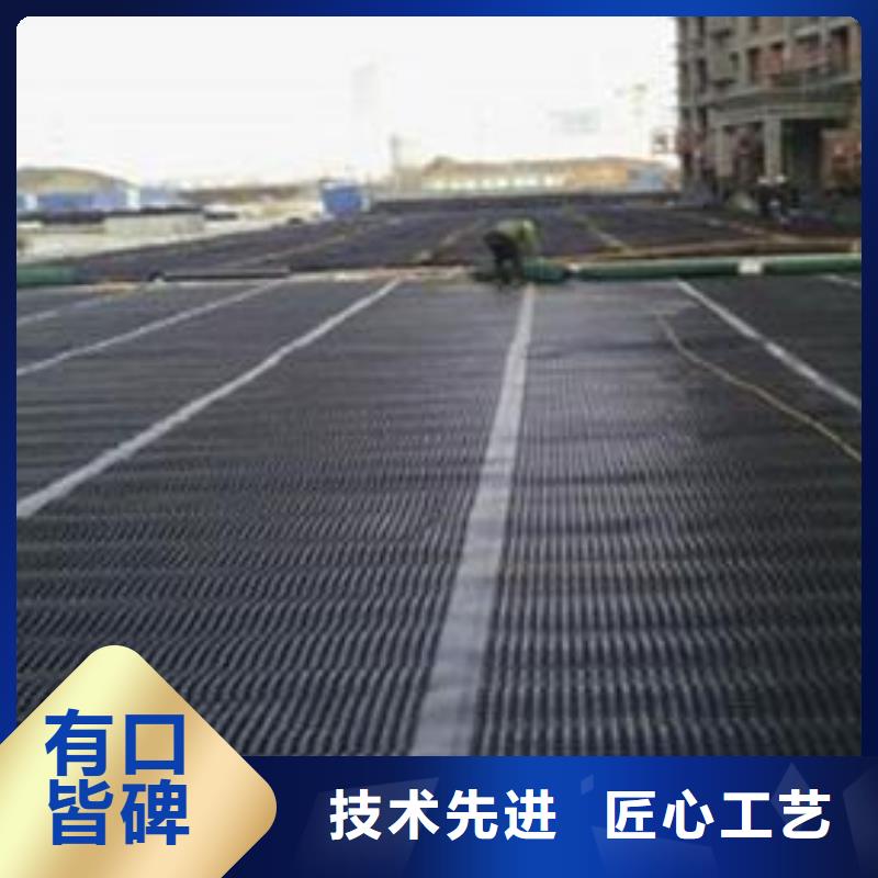 雙向塑料土工格柵好品質(zhì)經(jīng)得住考驗(yàn)同城服務(wù)商