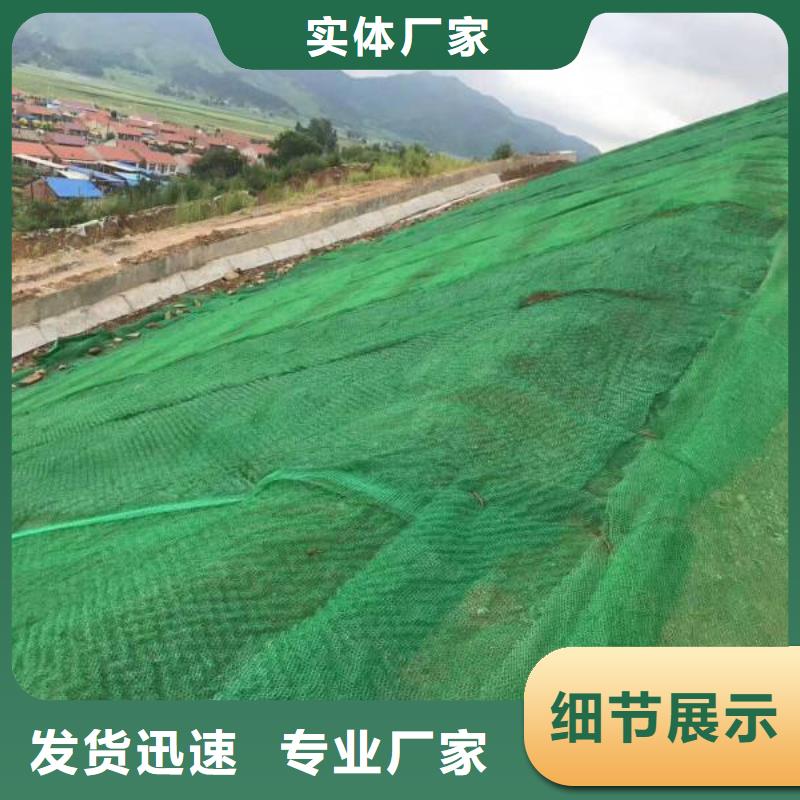 三维植被网双向塑料土工格栅库存量大价格有优势