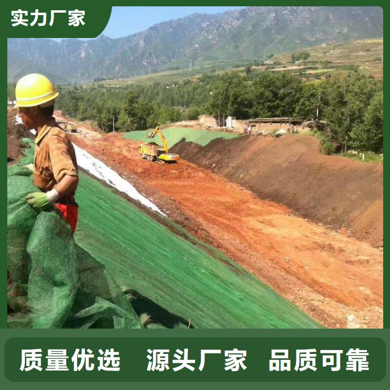 三維植被網防滲土工膜客戶好評價格合理