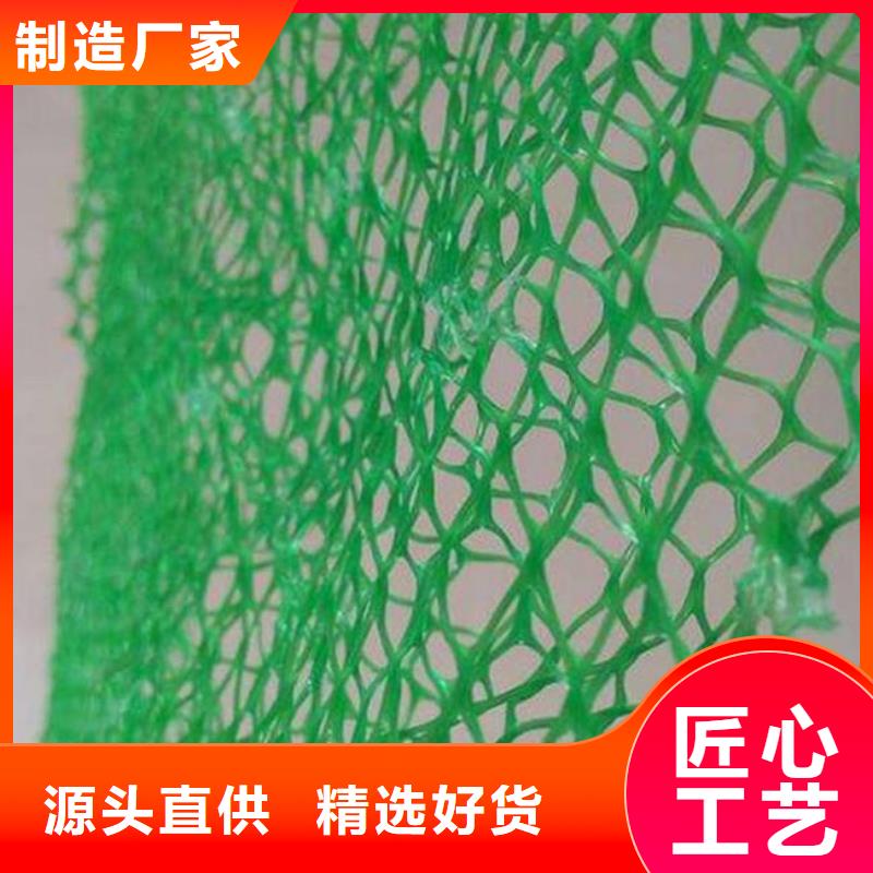 三維植被網(wǎng)-玻纖土工格柵質(zhì)量安心定制定做