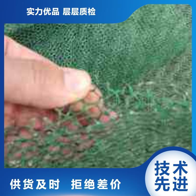 三維植被網_塑料土工濾網一站式采購商當地生產廠家