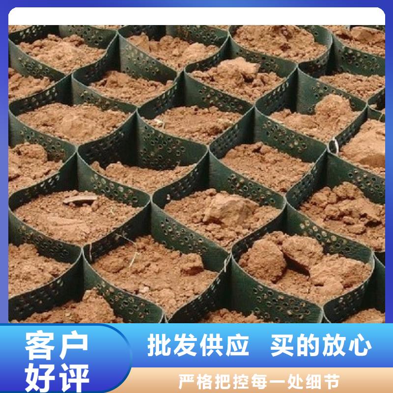土工格室質(zhì)量可靠當(dāng)?shù)貜S家
