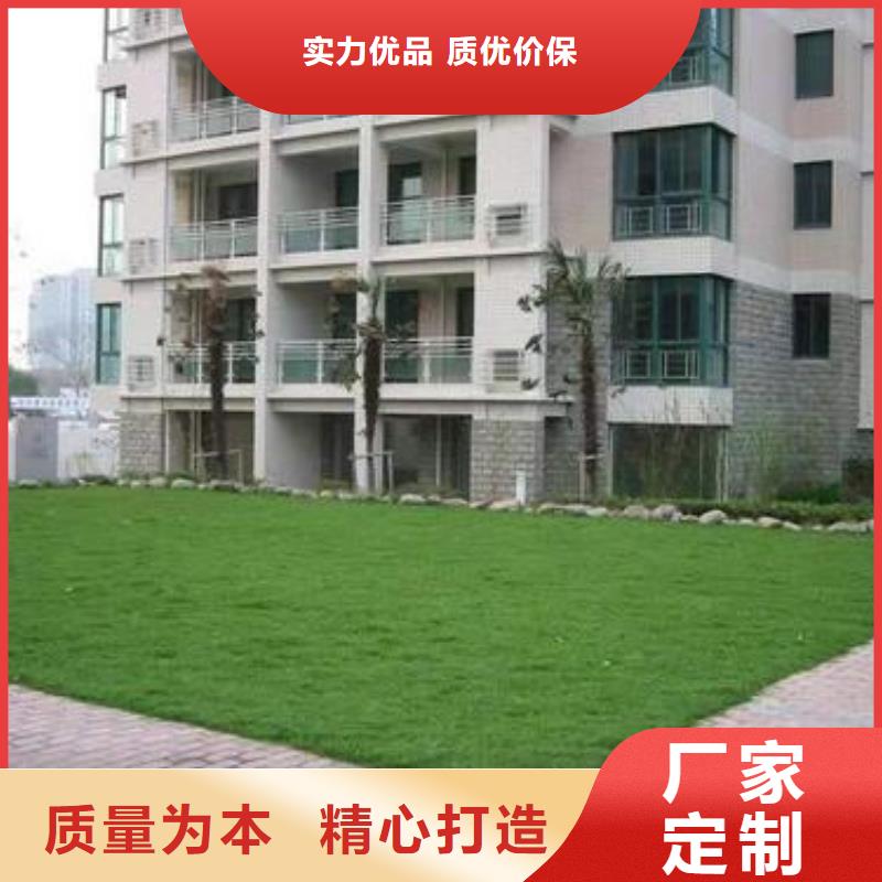 植草格-TPO防水卷材真材實(shí)料加工定制質(zhì)檢嚴(yán)格
