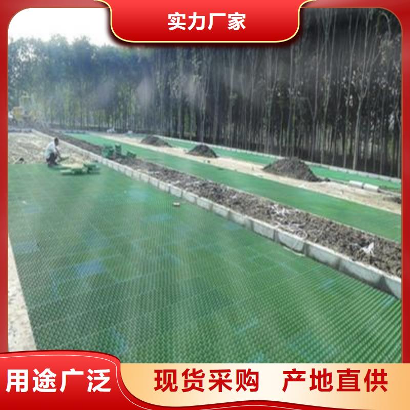 【植草格,PP焊接土工格柵實(shí)體誠(chéng)信經(jīng)營(yíng)】滿足多種行業(yè)需求