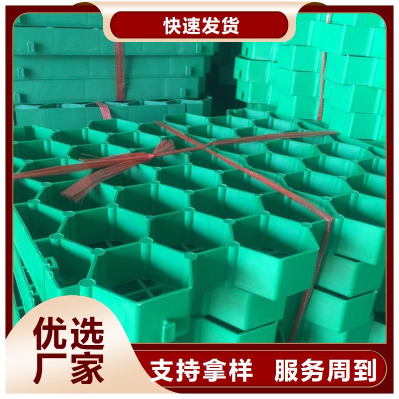 植草格PP焊接土工格柵源頭廠家直銷當(dāng)?shù)厣a(chǎn)商