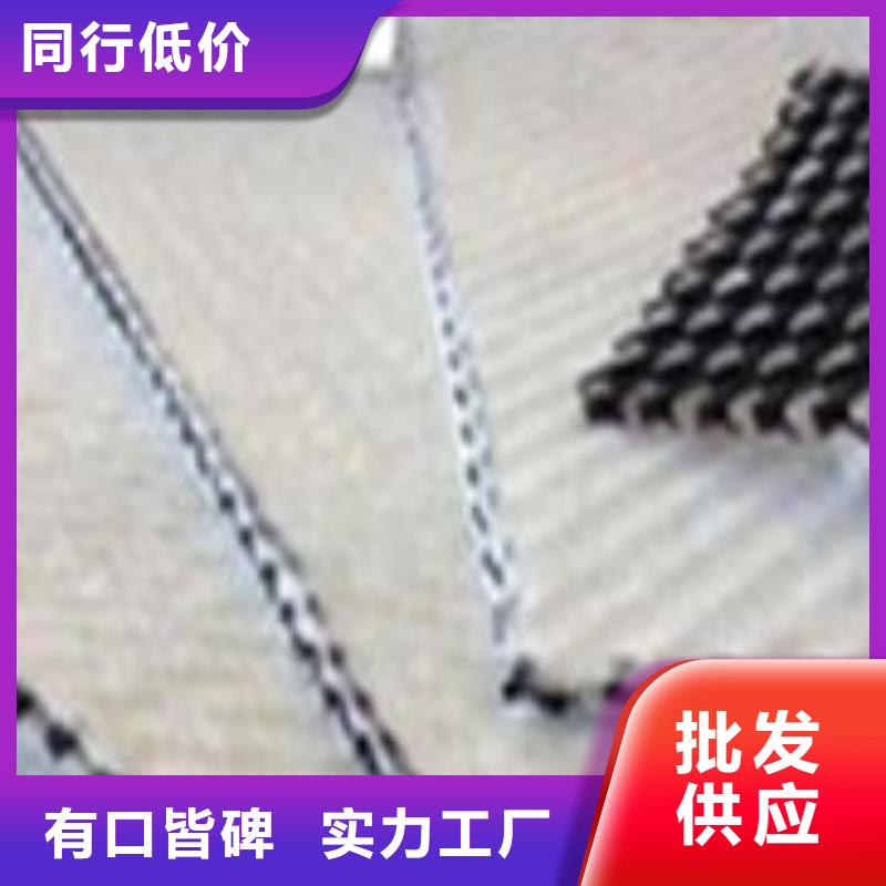 三維復合排水網-【HDPE土工膜】品質值得信賴同城公司