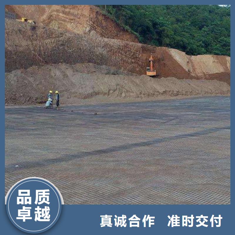 pp焊接土工格柵復(fù)合土工膜實(shí)力廠家直銷本地經(jīng)銷商