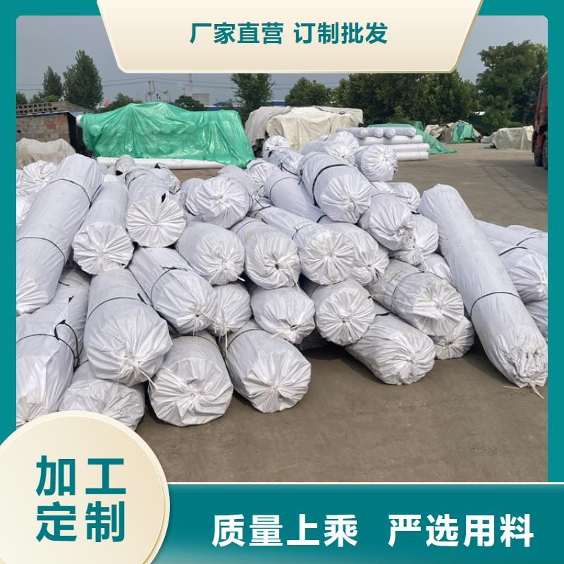 鋼塑土工格柵長絲土工布真材實料同城公司