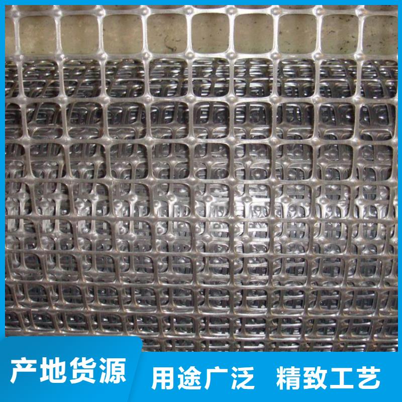塑料土工格柵防水土工布優質貨源當地廠家值得信賴