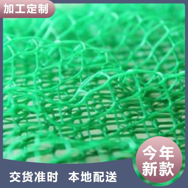 【三維植被網】復合土工膜銷售的是誠信當地廠家