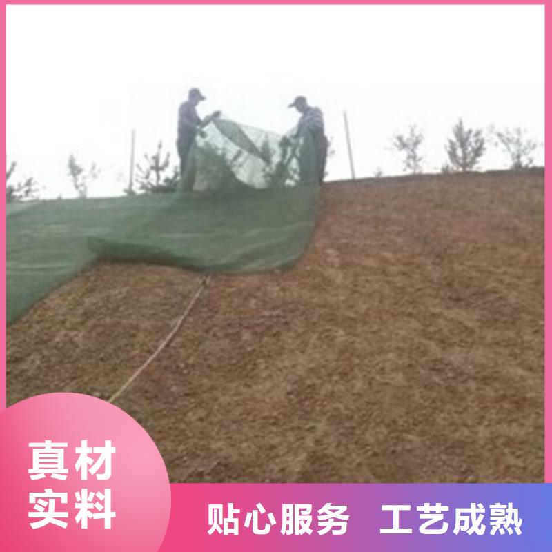 三維植被網(wǎng)雙向塑料格柵質(zhì)量可靠專注生產(chǎn)N年