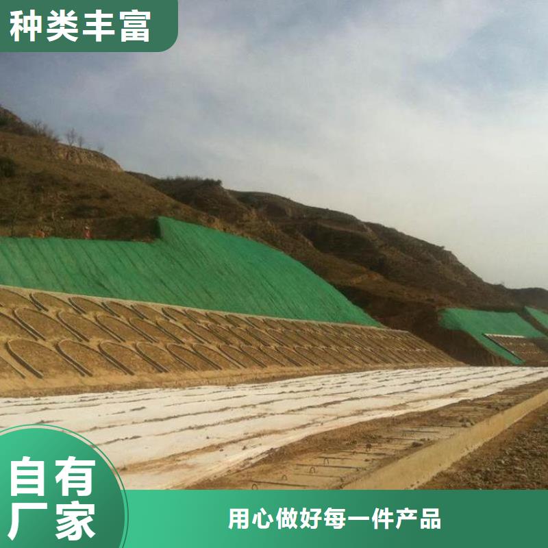 三維植被網長絲土工布種類多質量好品質保證
