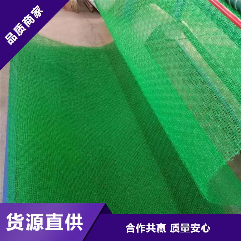 【三維植被網】土工格室多種規格庫存充足支持批發零售