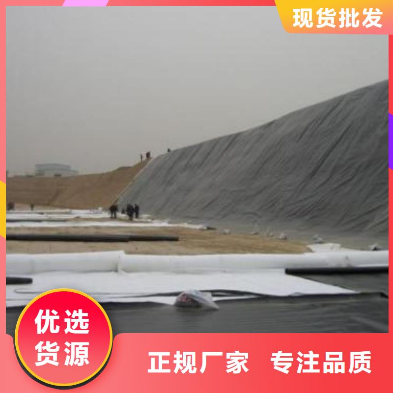 土工膜【鋼塑土工格柵】根據要求定制出廠價