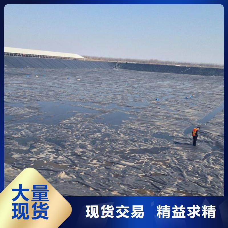 土工膜單向塑料格柵助您降低采購成本訂制批發