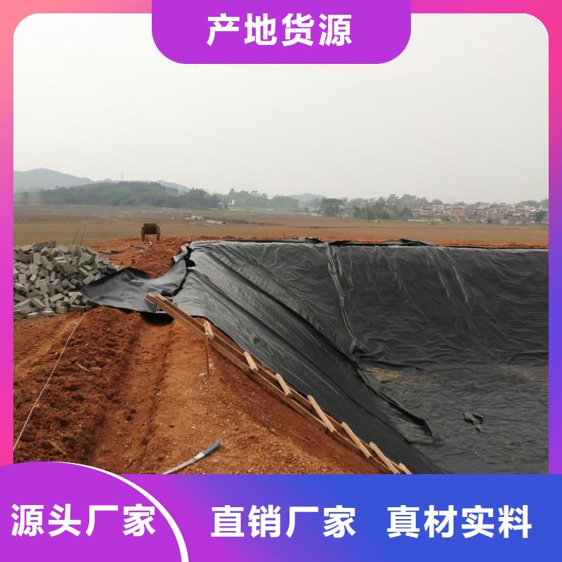 土工膜玻纖土工格柵支持大小批量采購工廠批發(fā)