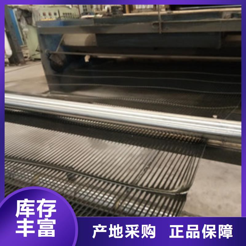 鋼塑土工格柵復合土工膜免費寄樣同城品牌
