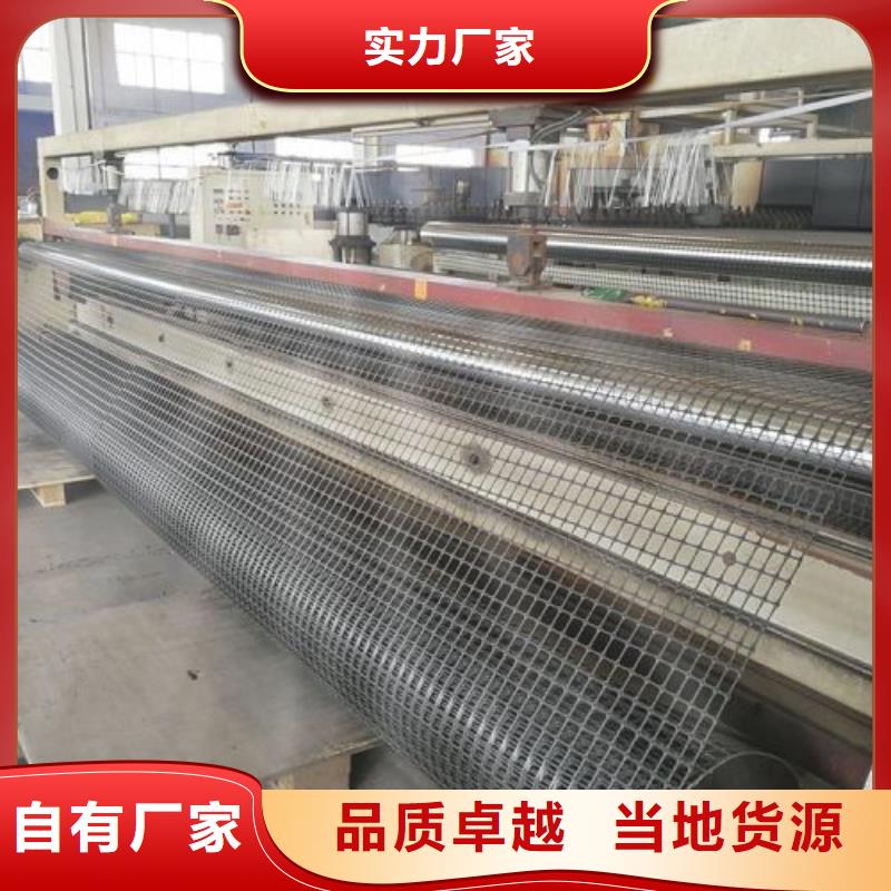 鋼塑土工格柵_【水土保護毯】嚴謹工藝免費安裝