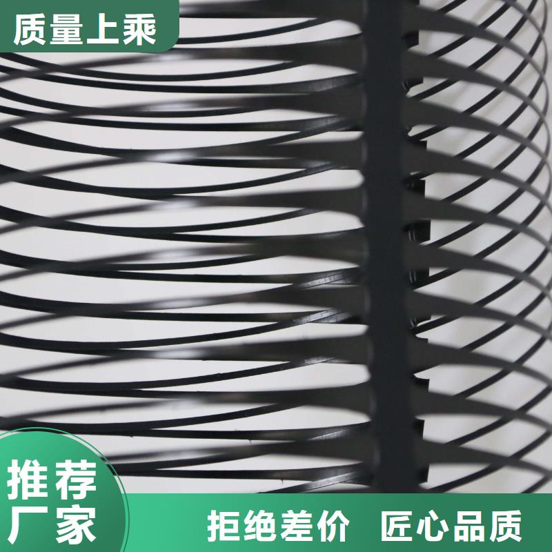 單向拉伸塑料格柵三維復合排水網貨真價實當地供應商