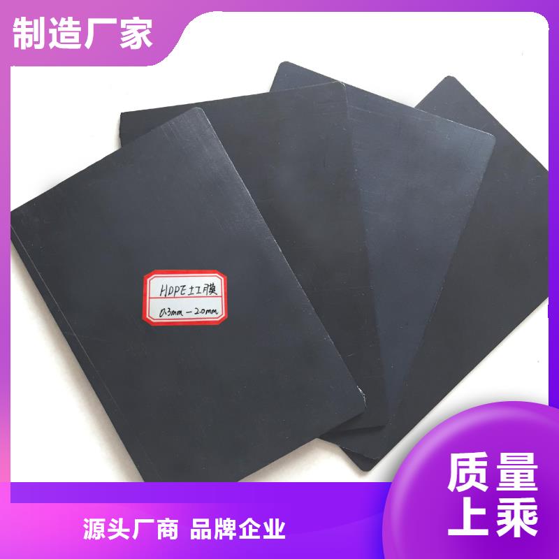 土工膜-護(hù)坡土工網(wǎng)產(chǎn)地貨源現(xiàn)貨銷售