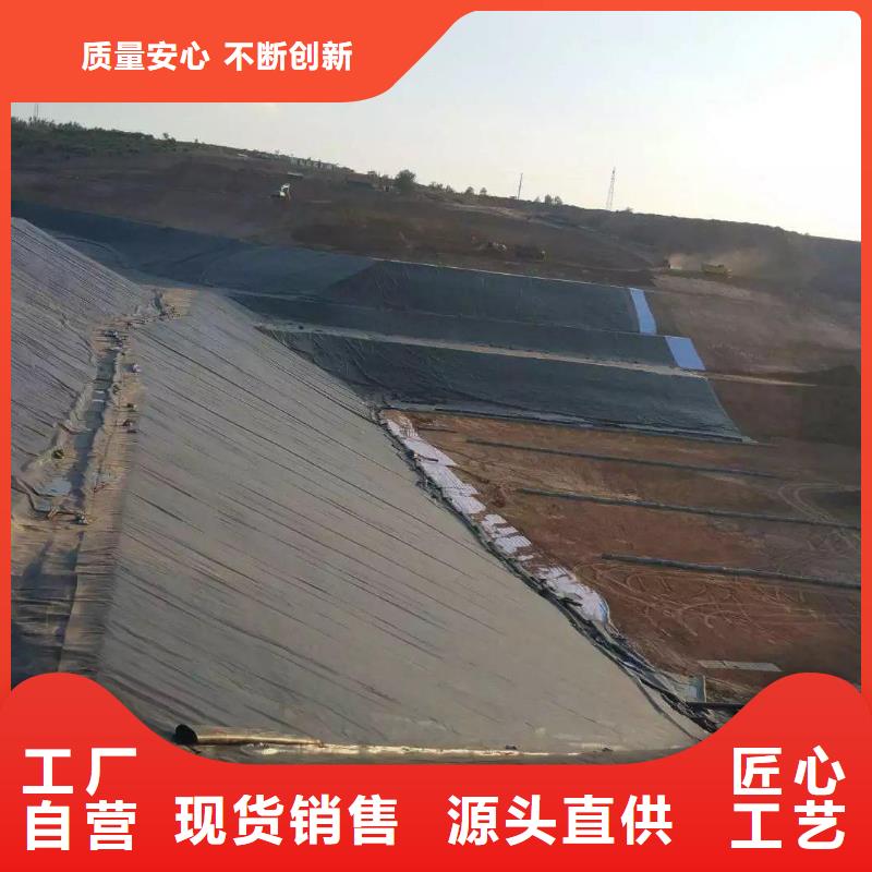 土工膜三維復合排水網專注細節使用放心誠信商家