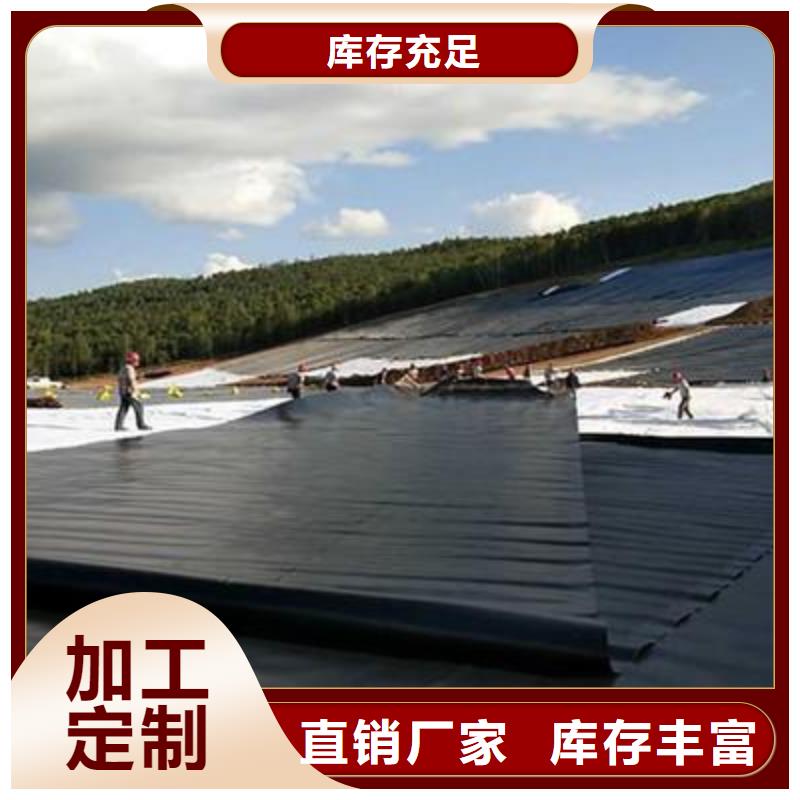 土工膜鋼塑土工格柵匠心制造不斷創新