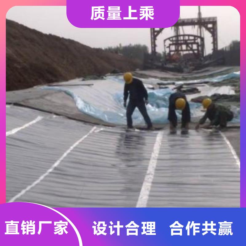 土工膜-雙向拉伸土工格柵快速發貨本地公司