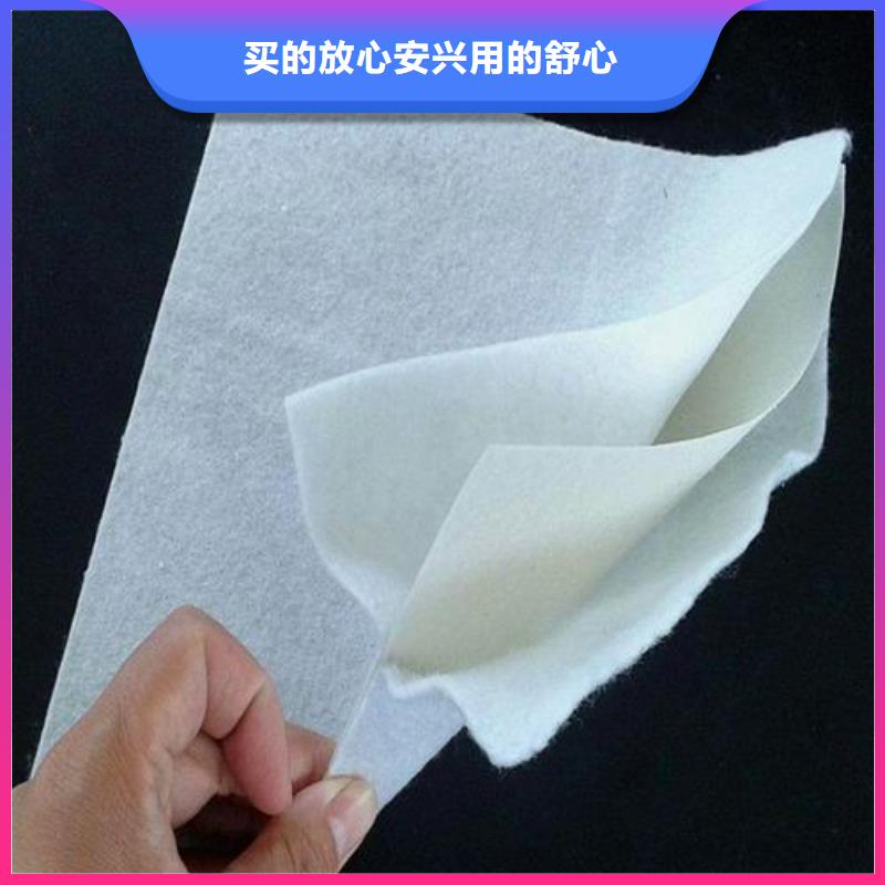 土工膜,復合土工膜精致工藝質優價保