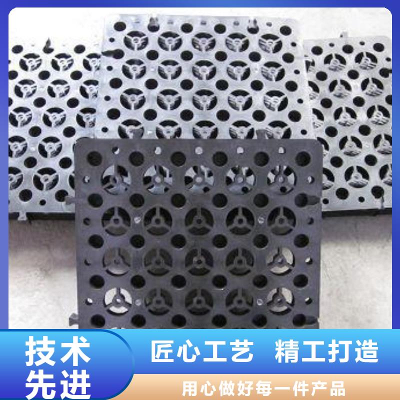 蓄排水板鋼塑土工格柵發(fā)貨及時同城公司