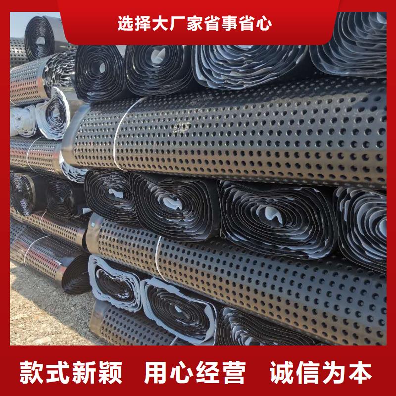 蓄排水板_三維土工網(wǎng)墊應(yīng)用范圍廣泛大量現(xiàn)貨供應(yīng)