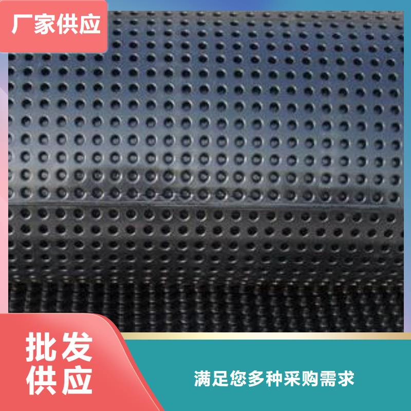 蓄排水板,凸結(jié)點(diǎn)鋼塑土工格柵一手貨源同城經(jīng)銷商
