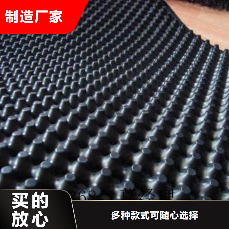 蓄排水板三維復合排水網保質保量型號齊全