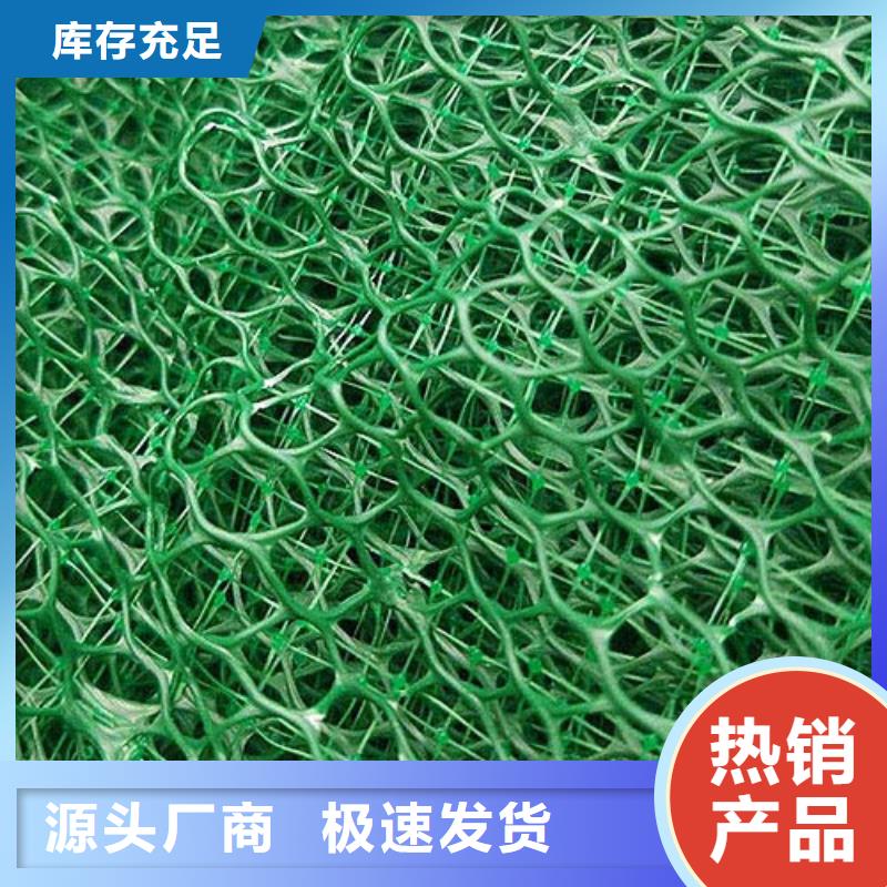 三維植被網_軟式透水管供應商工廠自營