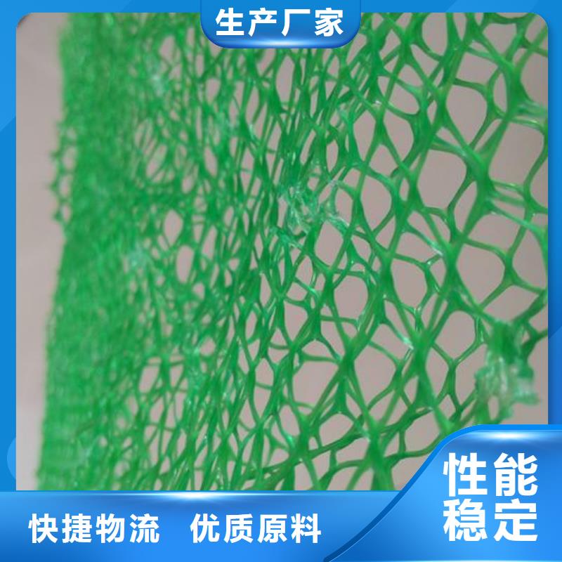 三維植被網(wǎng)【雙向塑料土工格柵】合作共贏同城品牌