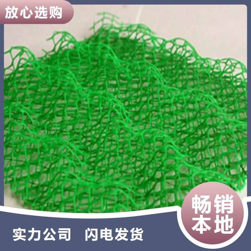 三維植被網(wǎng)三維復(fù)合排水網(wǎng)今年新款顏色尺寸款式定制