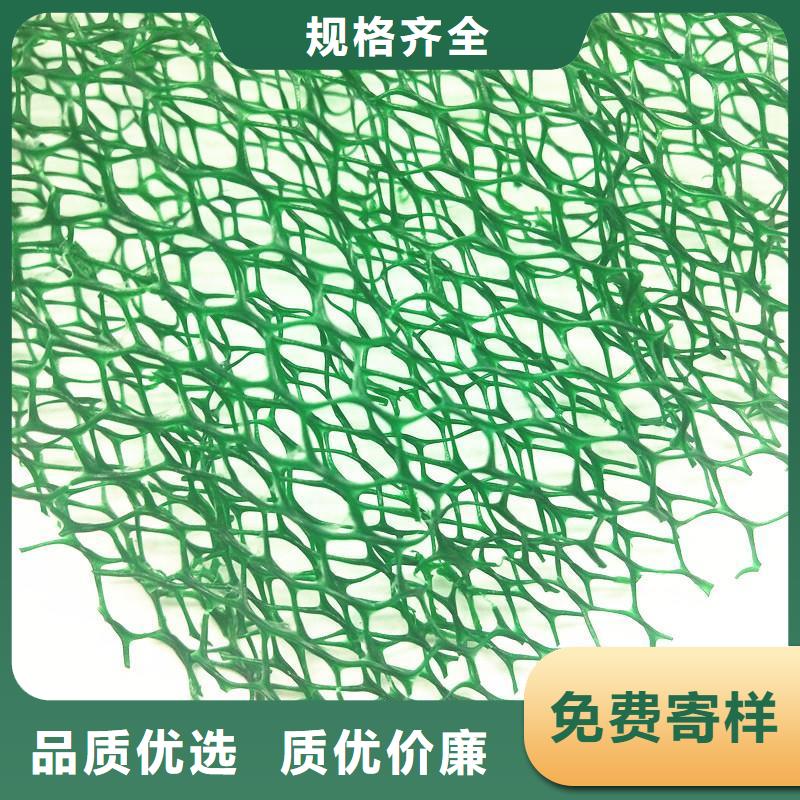 三維植被網【土工格柵】現貨齊全售后無憂廠家十分靠譜