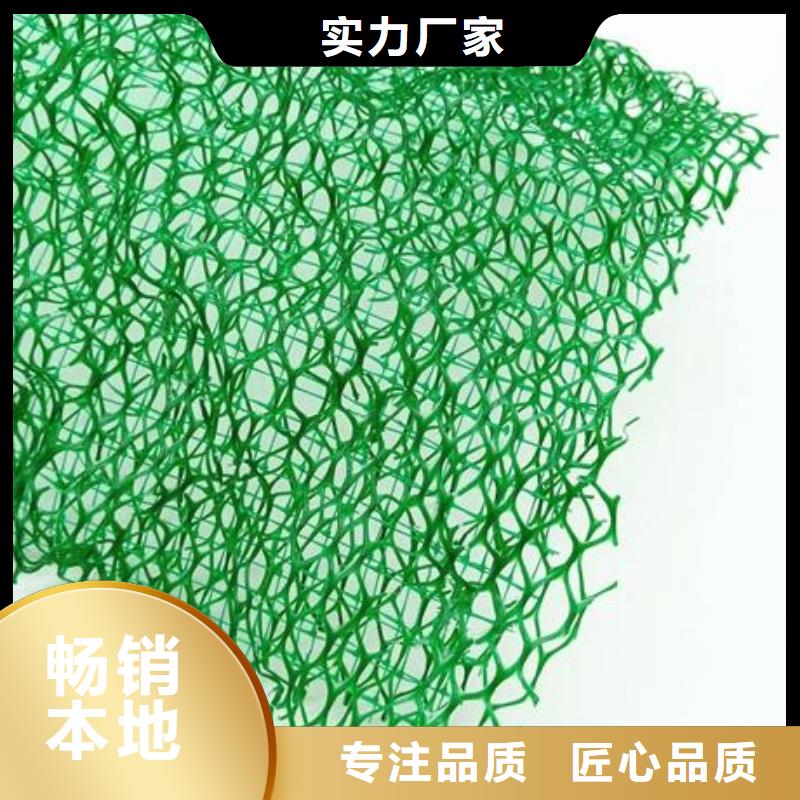 三維植被網根據要求定制廠家案例